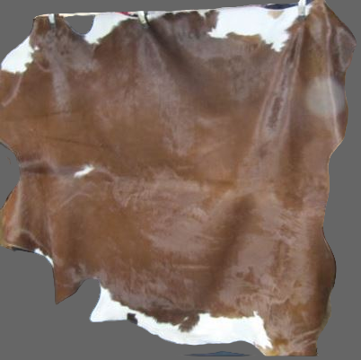 Ex-large brown & white  leather hair on hide