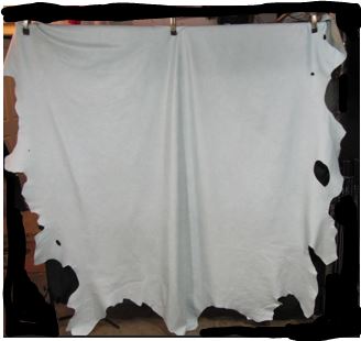 Carolina Blue Leather Full Hide